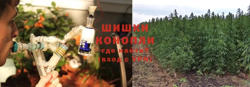 закладка  Серпухов  Канабис THC 21% 